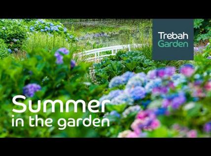 Embedded thumbnail for Trebah Garden
