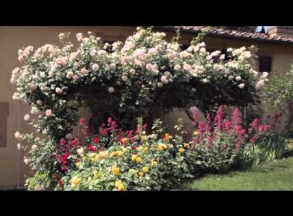 Embedded thumbnail for Villa &amp;amp; Gardens Poggio Torselli